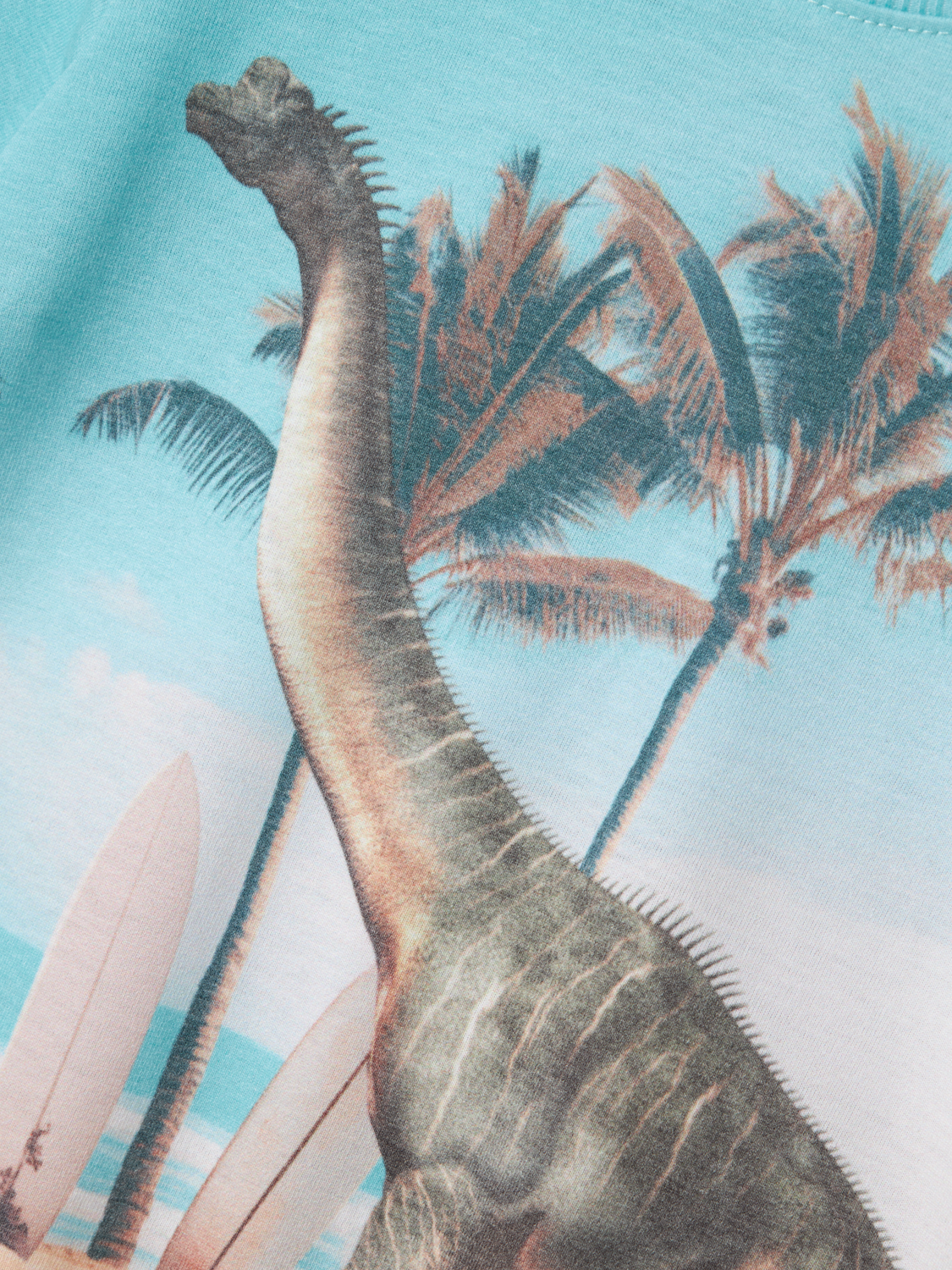 model_shot-front_full